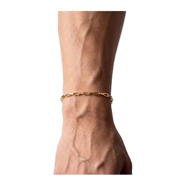 Masculino